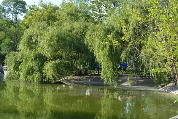 Central City Family Amusement Park Beautiful Landscaping Park Has Lake — ストック写真