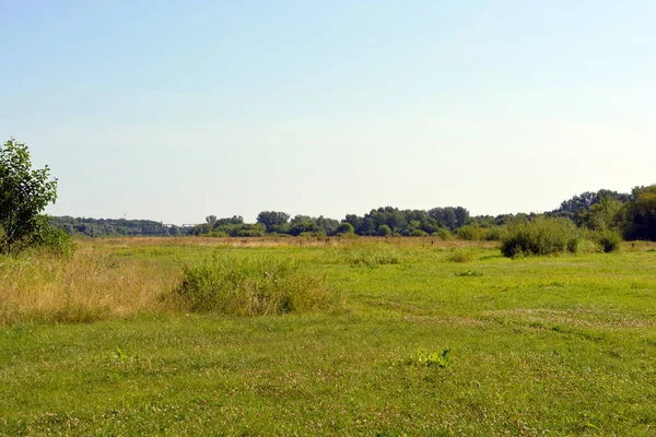 Beautiful Fields Distant Steppes Meadows Wild Herbs Lush Grass Forests — Fotografia de Stock