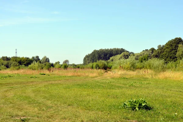 Beautiful Fields Distant Steppes Meadows Wild Herbs Lush Grass Forests — Stock Photo, Image