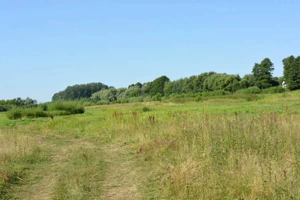 Beautiful Fields Distant Steppes Meadows Wild Herbs Lush Grass Forests — Foto de Stock