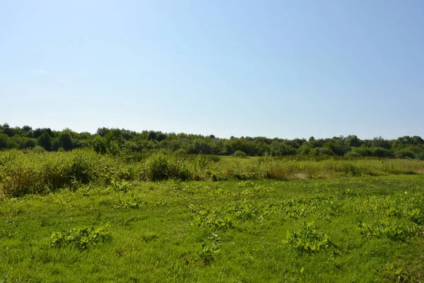 Beautiful Fields Distant Steppes Meadows Wild Herbs Lush Grass Forests — Stock Photo, Image