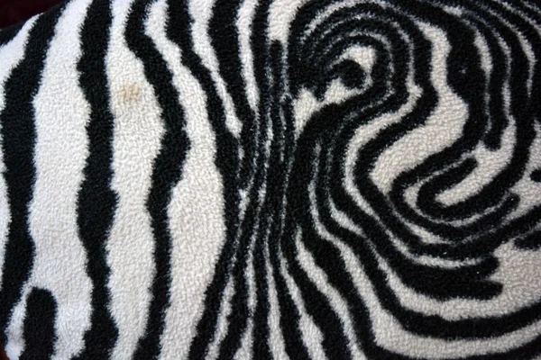 Soft Pleasant Fluffy Fabric Form Zebra White Tiger Colors Fabric — Zdjęcie stockowe