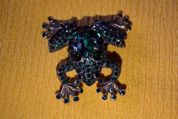 Beautiful Female Jewelry Jewel Green Stones Metal Frog Toad Located —  Fotos de Stock