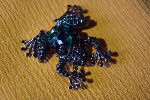Beautiful Female Jewelry Jewel Green Stones Metal Frog Toad Located — Fotografia de Stock