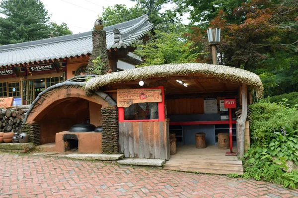 Prachtig Landschap Van Nami Island Zuid Korea Juli 2016 — Stockfoto