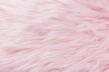 Pembe kürk dokusunun üst görüntüsü, pembe koyun derisi arka plan.
