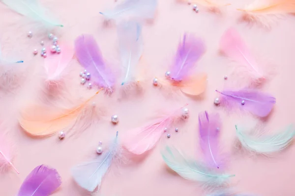 Pastel color feathers with white pearls on pink background.