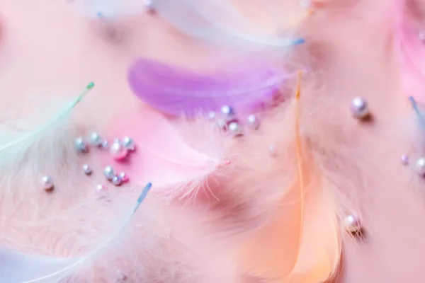 Pastel color feathers with white pearls on pink background.