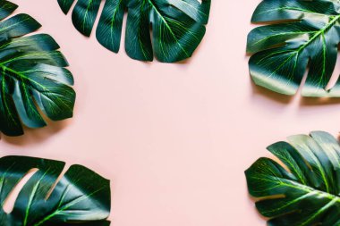 Pembe arka planda tropik yapraklar..