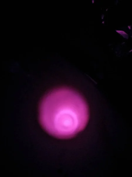 Purple Neon Light Glowing Night Time Abstract Symmetry Art Neon — Stok Foto