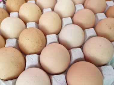 Süpermarkette günlük taze yumurta ürünleri satılıyor. Tayland 'da yumurta fiyatları Tayland ekonomisinin bir göstergesi olabilir.