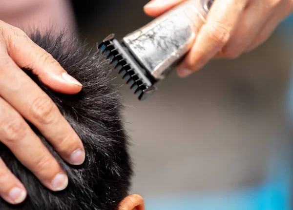 Close Selected Focus Photo Asian Boy Strands Hair Being Cut — Stock Photo, Image