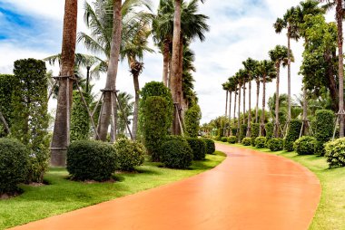 Bir bahçe manzarası ya da turistlerin seyahat etmediği yol ve yolun boş olduğu boş bir park manzarası..