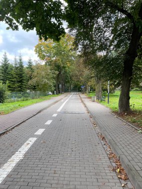 Ağaçlarla çevrili sokak yolu