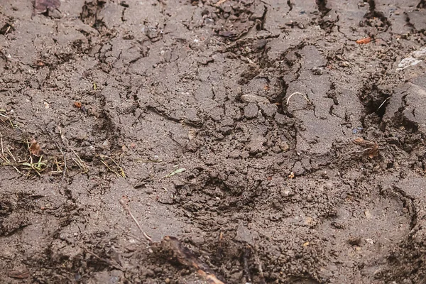 肮脏的特写纹理 雨后湿湿的泥土 秋天的泥面 — 图库照片