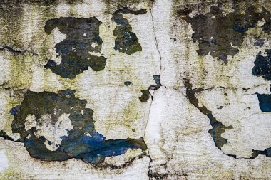 Yıkık dökük bir duvar. Çatlamış alçı ve boya dokusu. Terk edilmiş bir binanın cephesi.