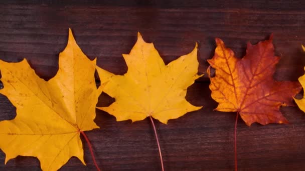 Gele Herfst Esdoorn Bladeren Een Bruine Houten Achtergrond Gevallen Blad — Stockvideo