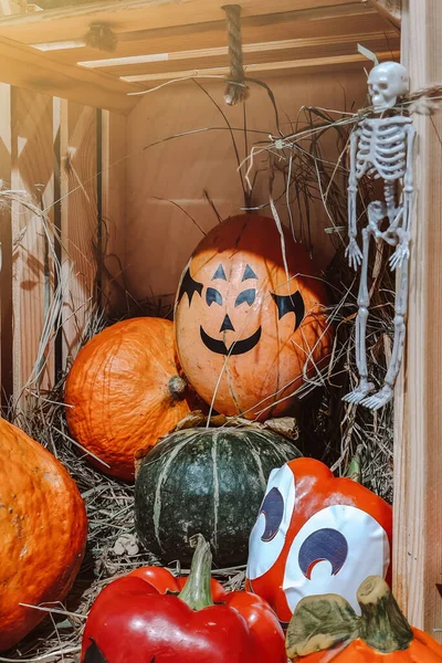 Εορταστική Διακόσμηση Σπιτιού Για Halloween Διακοσμητικές Κολοκύθες Χαρούμενα Πρόσωπα Φθινοπωρινή — Φωτογραφία Αρχείου