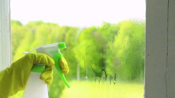 Ramen wassen. Thuis schoonmaken concept. Vrouw in geel rubber handschoenen spray vloeistof voor glas. — Stockvideo