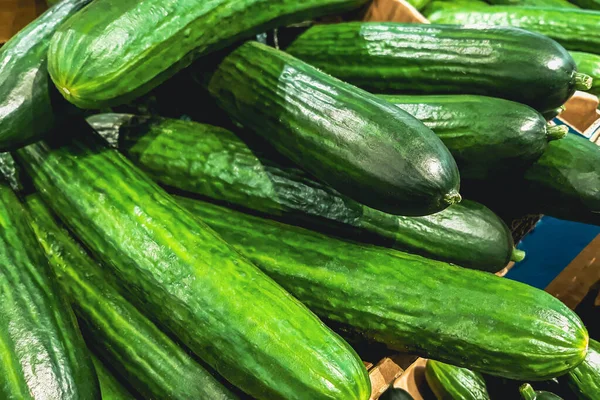 Concombres Frais Juteux Vendre Des Légumes Verts Juteux Supermarché Ingrédient — Photo