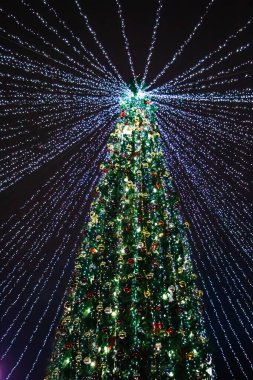 Süslemeleri ve şenlikli ışıkları olan güzel bir Noel ağacı. Noel çelengi Yıldızlı gökyüzü.