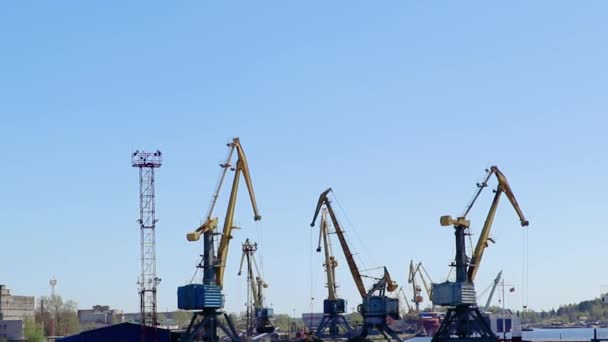 Havenkranen Zeehaven Logistiek Vracht Levering Het Laden Van Containers Bedrijfsconcept — Stockvideo