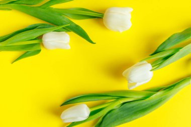 Sarı arka planda beyaz, narin laleler. Bahar sembolü Metnin için yer.