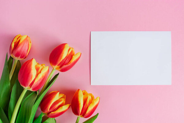 Свежий букет тюльпанов и открытка на розовом фоне. Счастливой Пасхи. Концепция весенних.
