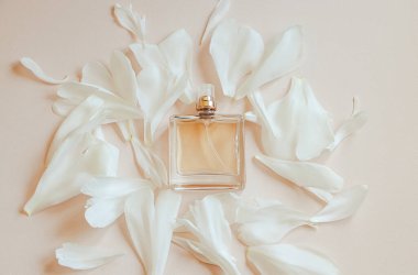 Pastel bej arka planda parfüm şişesi ve çiçek yaprakları. Aromatik yağlı doğal kozmetik ürünler. Reklam ürünleri için tasarım. Boşluğu kopyala.