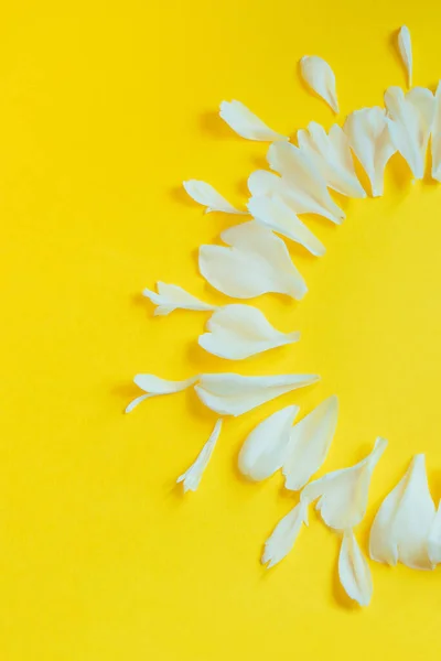 黄色背景上的白色花瓣 情人节 母亲节贺卡创意设计 春日概念 复制空间 垂直照片 — 图库照片
