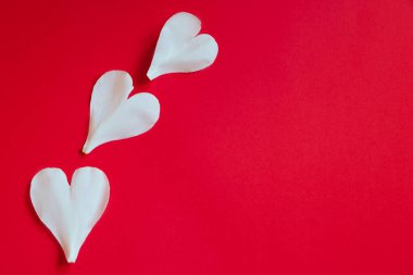 Kırmızı arka planda kalp şeklinde çiçek yaprakları. Sevgililer Günü konsepti. Yaratıcı tebrik kartı tasarımı. Boşluğu kopyala