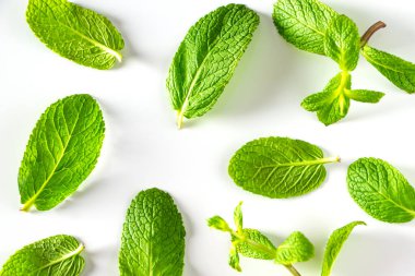 Beyaz arka planda izole edilmiş yeşil nane yaprakları. Yemek ve içecek için taze aromalı nane şekeri.
