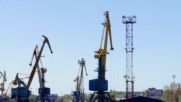 Havenkranen in een zeehaven. Logistiek en vracht levering. Het laden van containers. Bedrijfsconcept, industriële omgeving. — Stockvideo