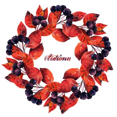 Suluboya çizimi, yapraklardan oluşan bir çelenk, boğuk çilek, illüstrasyon. Sonbahar. Sana kartpostal var. Arkaplan beyazı. El yapımı.