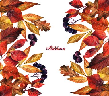 Suluboya çizimi, sonbahar yapraklı kompozisyon. Sana kartpostal var. Arkaplan beyazı. El yapımı.