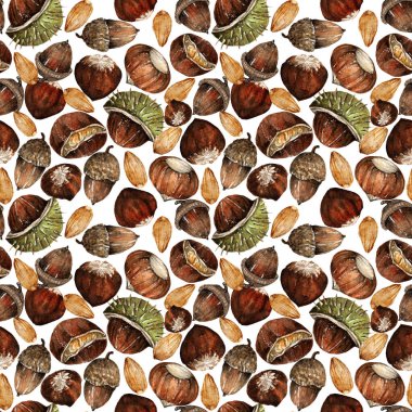 Suluboya illüstrasyon, fındıklı kompozisyon, kestane, meşe palamudu, badem. El yapımı. Arka plan ışığı, pürüzsüz desen