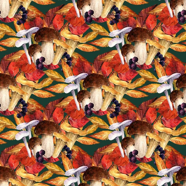 Акварельная Иллюстрация Композиция Осенними Листьями Грибами Открытка Тебя Сделано Вручную — стоковое фото
