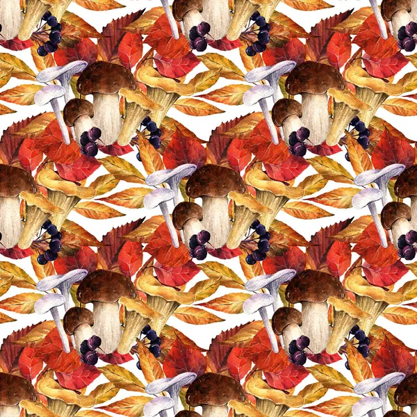 Акварельная Иллюстрация Композиция Осенними Листьями Грибами Открытка Тебя Сделано Вручную — стоковое фото