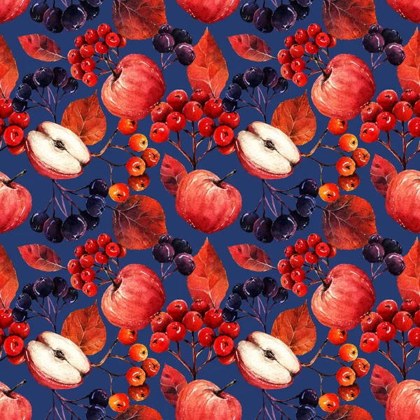 Aquarell Illustration Komposition Mit Äpfeln Apfelbeeren Und Eberesche Hintergrund Dunkles — Stockfoto
