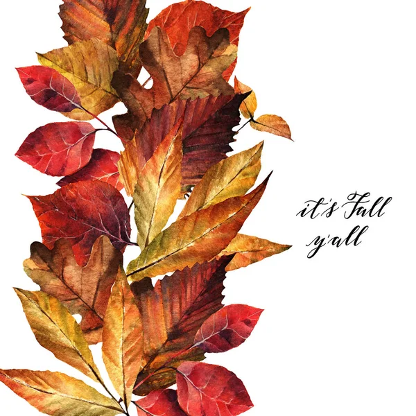 Ilustrace Akvarelů Listy Podzimu Dubu Jilmu Popela Pohlednice Pro Tebe — Stock fotografie