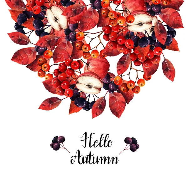 Illustrazione Acquerello Composizione Con Mele Bacche Chokeberry Frassino Montagna Cartolina — Foto Stock