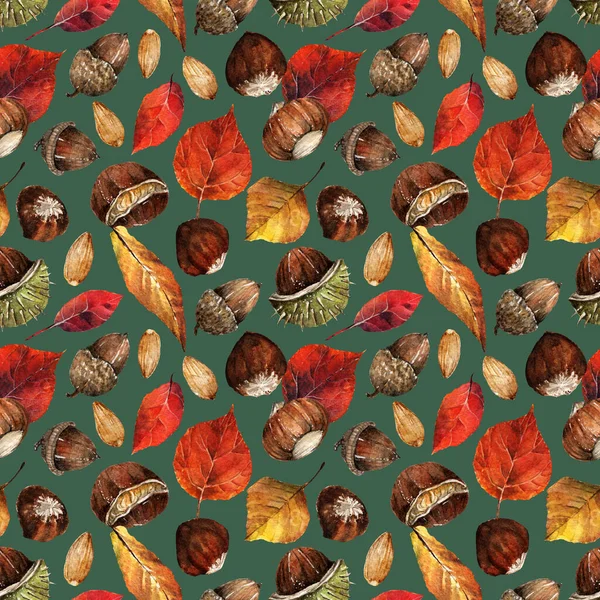 Акварельна Ілюстрація Композиція Різними Горіхами Лісовими Горіхами Каштанами Жолудям Мигдалем — стокове фото