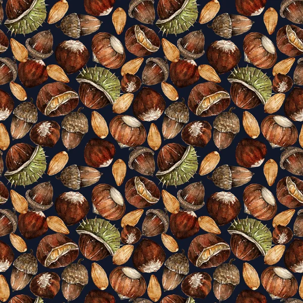 Акварельна Ілюстрація Композиція Різними Горіхами Лісовими Горіхами Каштанами Жолудям Мигдалем — стокове фото