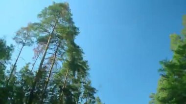 Yazın güneşli bir günde mavi gökyüzünde ön camdan bakıyordum. Seyahatin geniş açı görünümü