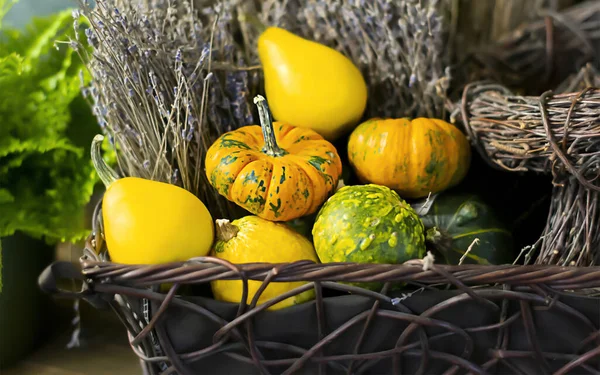 Decorative Pumpkins Wicker Basket Dried Lavender — Stock Photo, Image