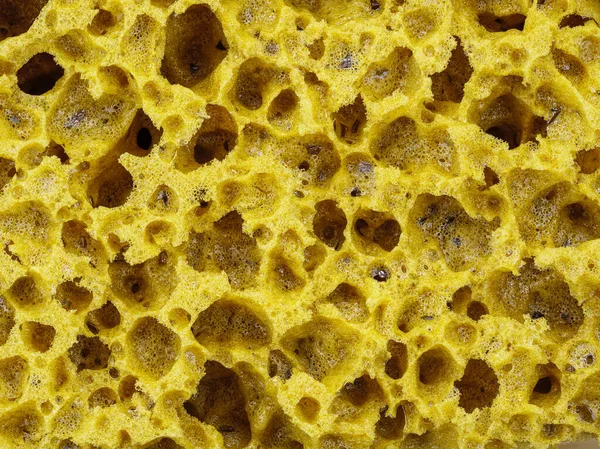 Texture Yellow Sponge Decor Abstract Background — Stock Photo, Image