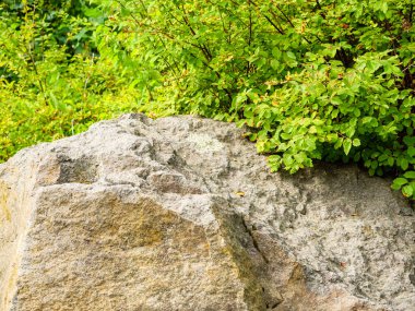 View on top of a huge rock surrounded by foliage of bushes