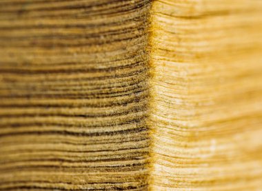 Corner of an old thick book in closeup. Stacked yellowed pages