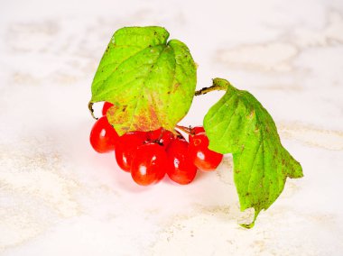 Yeşil yapraklı kırmızı kızılcık kümesi.