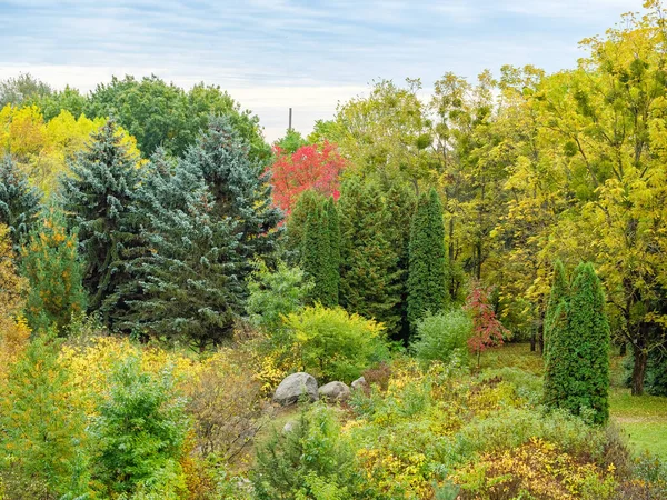 Beautiful Colorful Park Coniferous Deciduous Trees Bushes — Stock Photo, Image